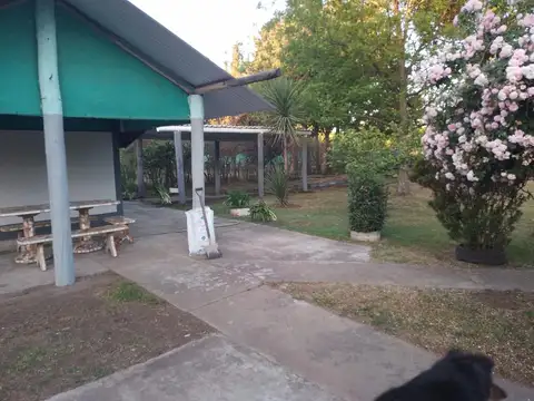 La Providencia 1000