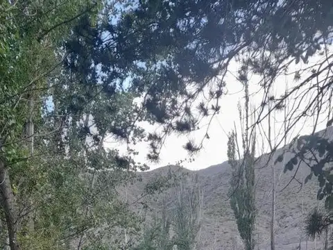 Ruta Provincial 89 - Potrerillos