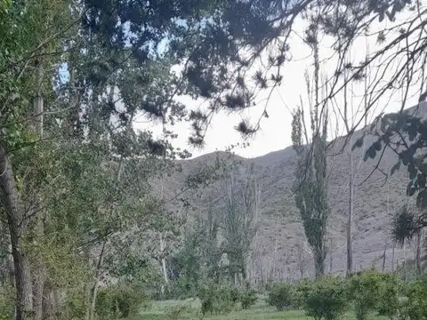 Terreno en venta - 6.500Mts2 - Mendoza