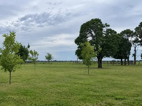 VENTA DE HECTAREAS MIXTAS EN FEDERAL BANDERITAS E. RIOS
