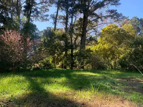 Lote en Venta en Mar Azul