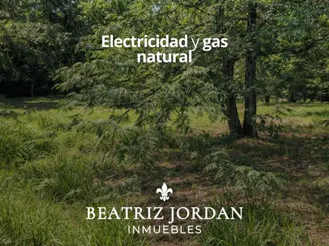 TERRENO EN VENTA, BARRIO PARQUE NATURA, LOS CARDALES