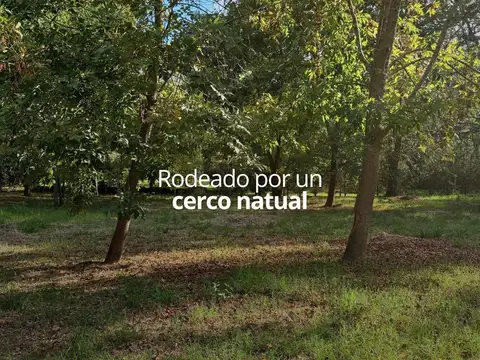 TERRENO EN VENTA, BARRIO PARQUE NATURA, LOS CARDALES