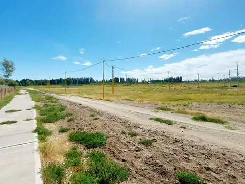 TERRENO EN VENTA EN LA RUFINA I EN CERVANTES