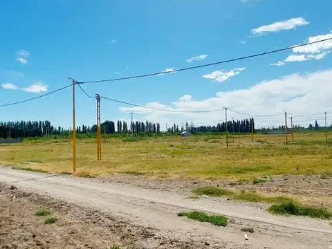 Terreno en Venta de 250,0 m2