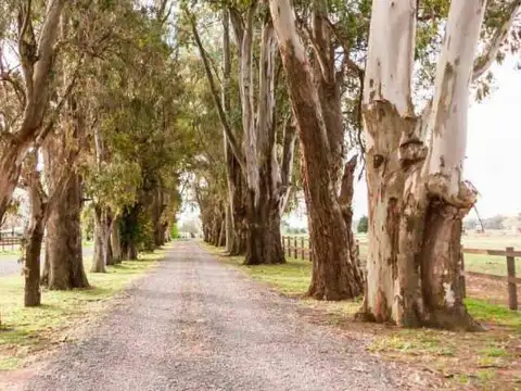 EXCELENTE LOTE DE 1000 M2 A LA VENTA EN FINCAS EXCLUSIVAS CARDALES