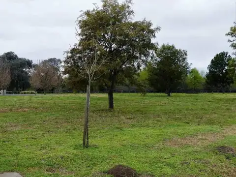 El Campo Cardales  1