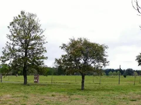 EXCELENTE LOTE DE 1000 M2 A LA VENTA EN FINCAS EXCLUSIVAS CARDALES