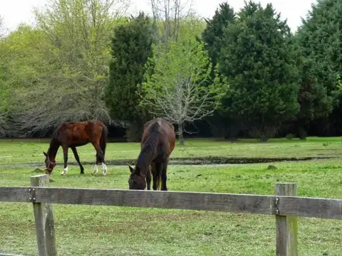 Terreno en Venta en Countries y Barrios Cerrados en Campana, USD 24.000