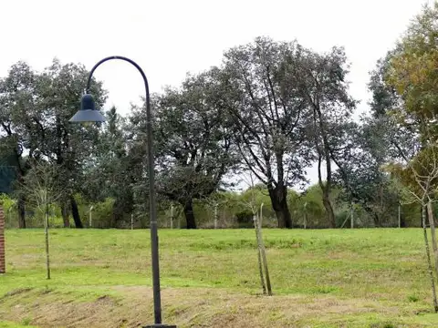 El Campo Cardales  1