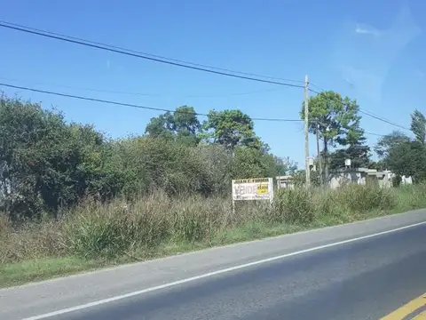 Campo en venta  - Casilda