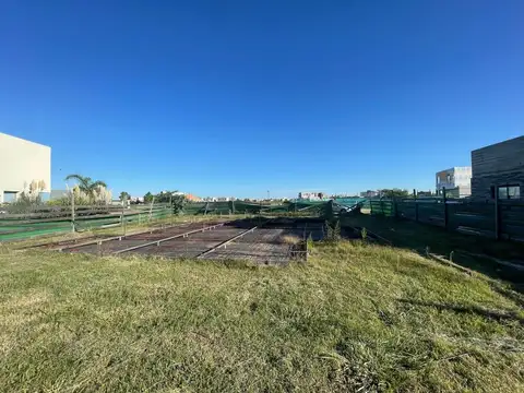 Consultar dirección