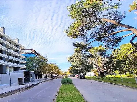 CRISTALINE  (   31499 )