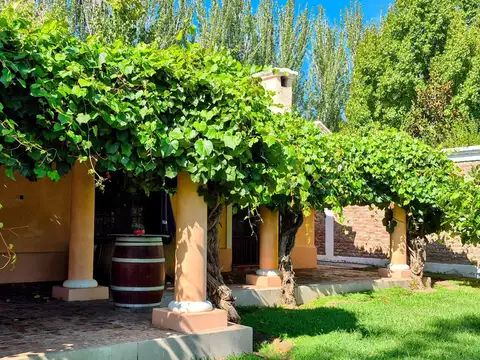 Casa en Venta en Luján de Cuyo, USD 465.000