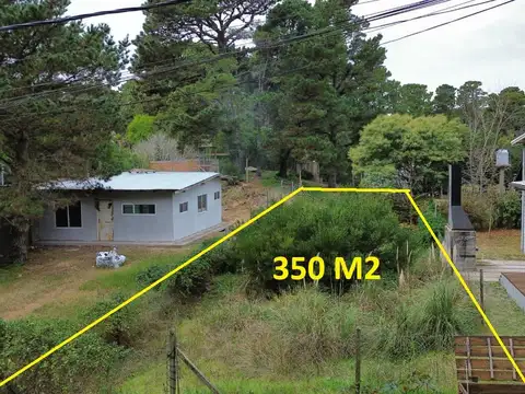 Miramar  y  41