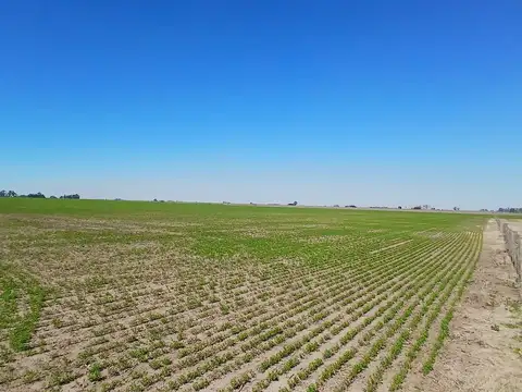 VENTA – Campo mixto de 201.5 hectáreas-  Santa Teresa, Santa Fe.