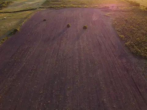 Campo en Venta de 3,36  ha