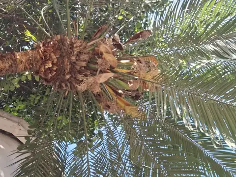 CASA DE ENSUEÑO EN MARÍA SELVA