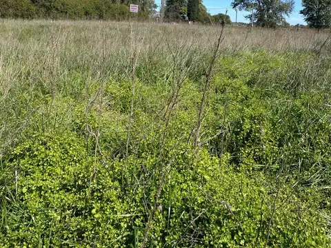 Terreno en Venta en Bragado, USD 38.000