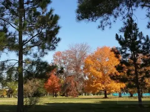 Mmc. Venta Lote En Área 3 Barrio San Matías