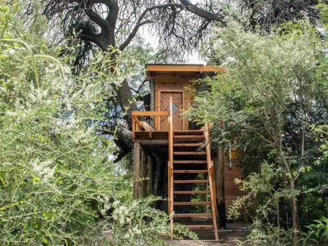 Venta de complejo de cabañas ecoturismo