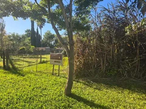 Terreno en Venta 31  mts Fondo