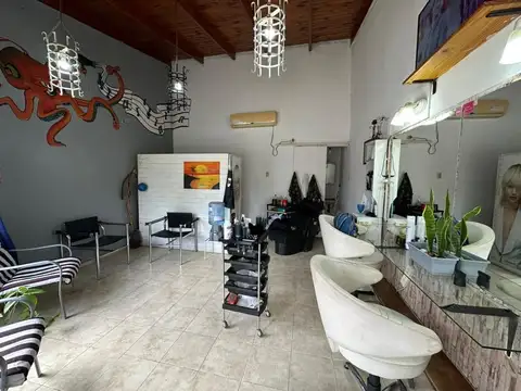 VENTA CASA 2 DORMITORIOS, LOCAL, PILETA Y COCHERA