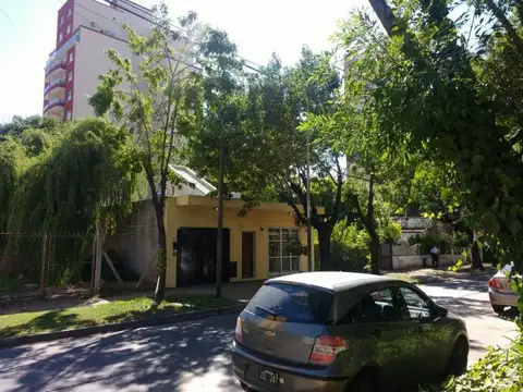 Maestro Angel D'elia 1800