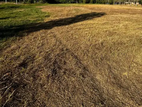 Terreno en Carril Rodriguez Peña (Zona Industrial)