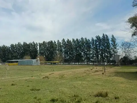 CAMPO VENTA LOS CARDALES