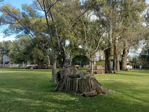 CAMPO VENTA LOS CARDALES