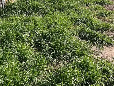 Venta Terreno en Recreo Sur