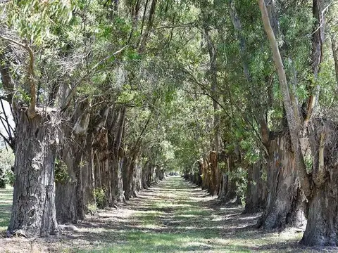 Ruta provincial 28 km 3,4