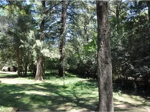 Chingolo y Derqui- La Lonja 100