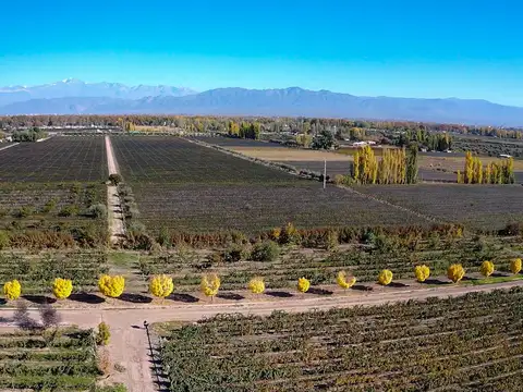 Terreno en Venta en Perdriel, USD 46.000