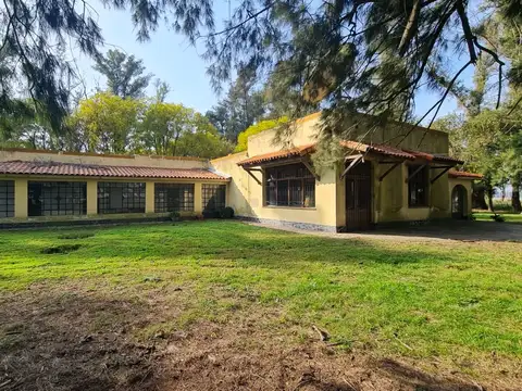 Campo de 40ha en Carlos Keen con hermosa arboleda