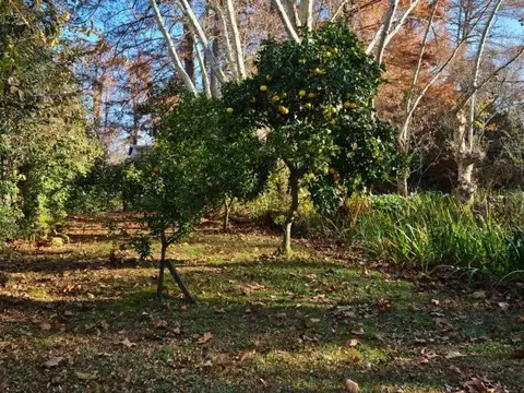 Casa en Venta en Tigre Centro, USD 245.000