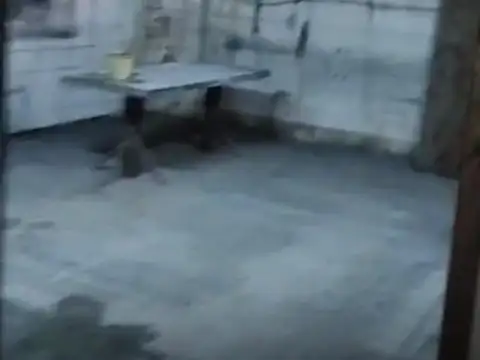 Galpon en Alquiler 10  mts Frente