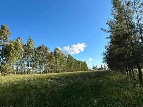Excelente Chacra en Venta en Azul