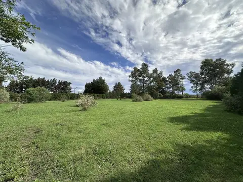 Terreno en Venta 60  mts Frente