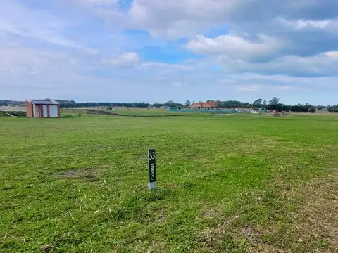 Av Jorge Newbery al 3000