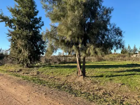 Arroyo Mandisovi y Rio Osuna