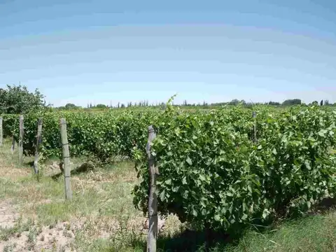 CALLE PUBLICA entre CALLE NUEVA Y CALLE LAS TRINCHERAS