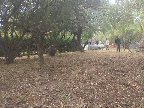 Terreno en Venta en Molinari, USD 12.999