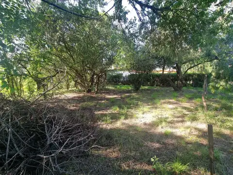 VENTA DE LOTE CON ESCRITURA MOLINARI COSQUIN