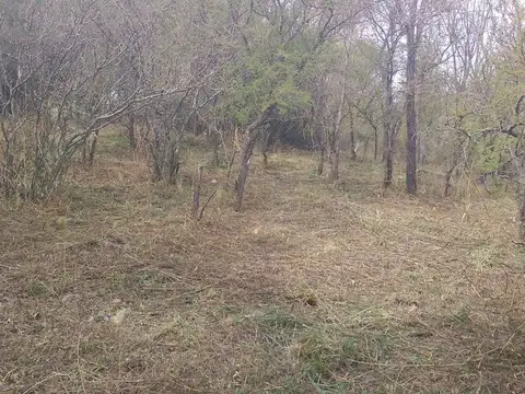 VENTA DE LOTE CON ESCRITURA MOLINARI COSQUIN