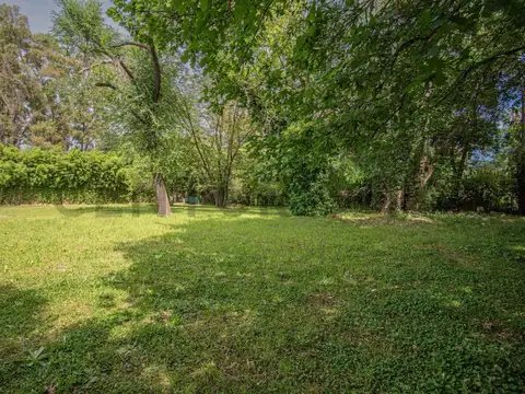 Terreno en Venta en Ricardo Rojas, USD 165.000