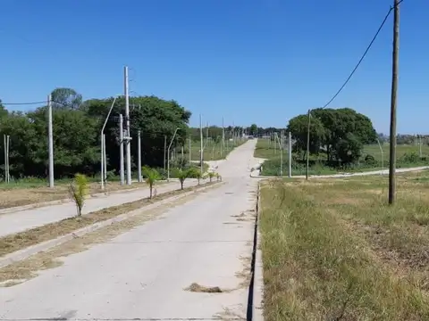 Nuevo Loteo - B° Los Lapachos 3