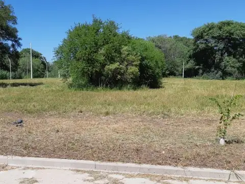 LOTES - B° LOS LAPACHOS 3