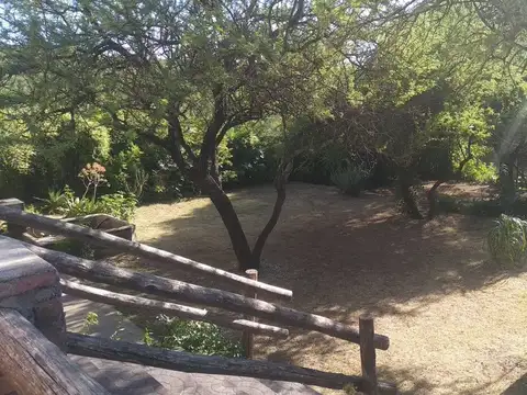 AZARERO 300
